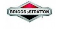 Briggs&Stratton™